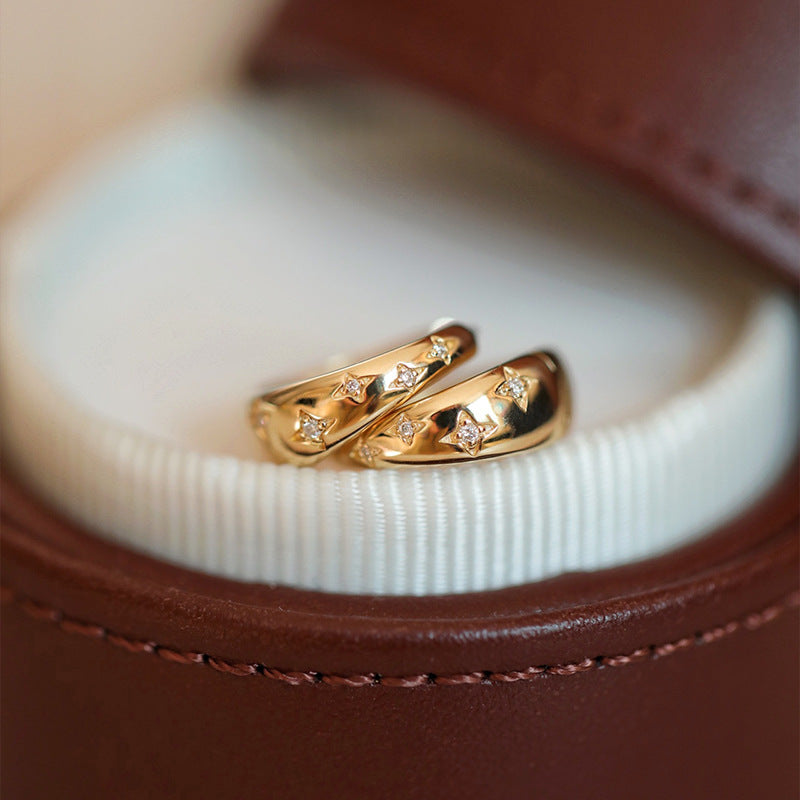Opulent Gold and Silver Earrings
