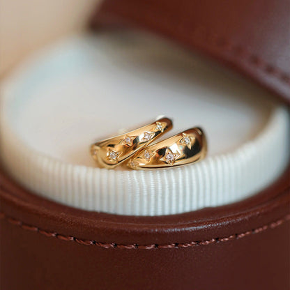 Opulent Gold and Silver Earrings